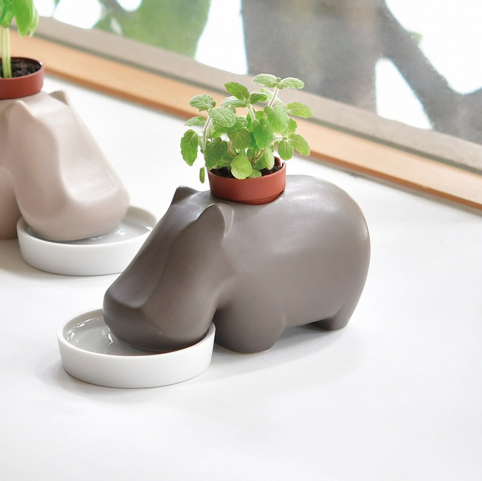 HippoPlant