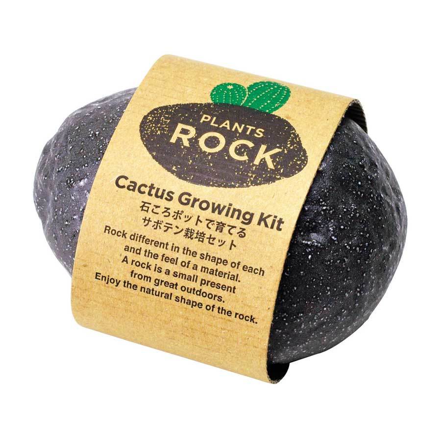 Plant Rocker Plants Rock - Plant Growing Rock Rocks Plant World!